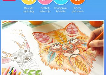 Chọn bút màu nào phù hợp cho trẻ, bút màu gốc dầu Deli có thật sự tốt