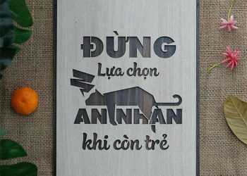 Đừng Lựa Chọn An Nhàn Khi Còn Trẻ
